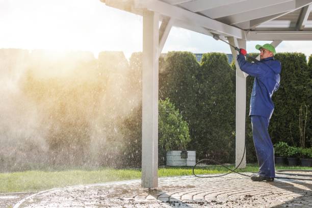 Best Animal Enclosure Cleaning  in Forsyth, IL