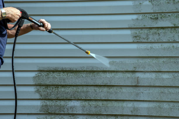 Best House Exterior Washing  in Forsyth, IL