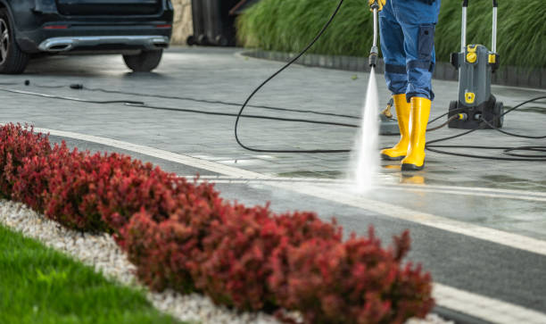 Best Dumpster Area Cleaning  in Forsyth, IL